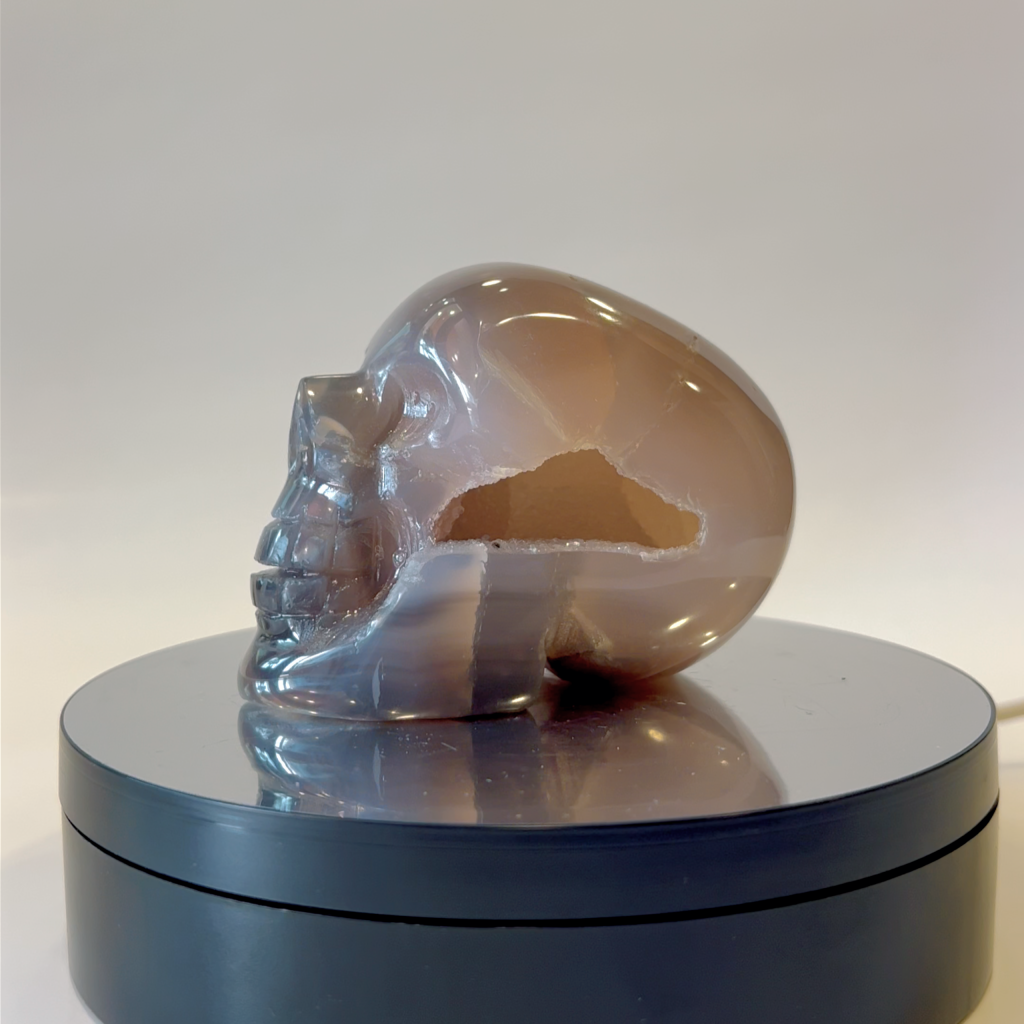 achat crane agate calcédoine AAA